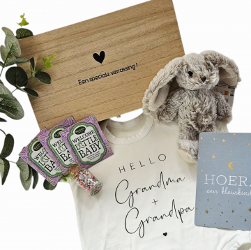 0016 zwangerschaps aankondiging opa en oma verrassing zwanger